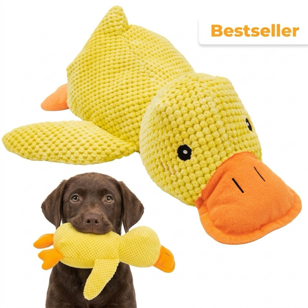 Engaging Squeaky Duck Dog Toy | Durable, Bite-Resistant Design for Stress Relief 1