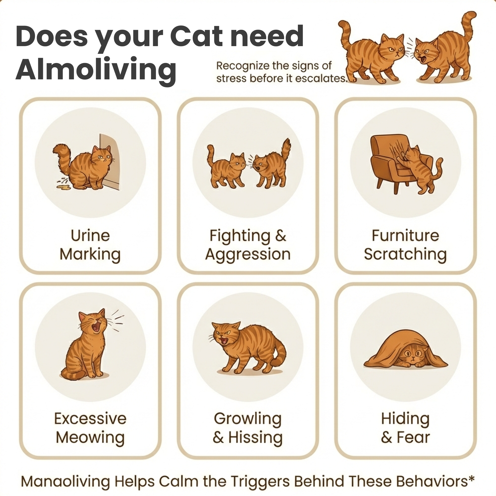 Feline Serenity | Cats Calming Diffuser Set with Essential Oils | Stress Relief for Anxious Cats 2