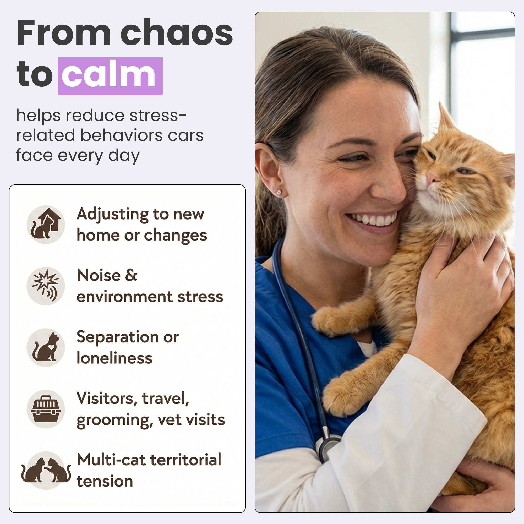 Feline Serenity | Cats Calming Diffuser Set with Essential Oils | Stress Relief for Anxious Cats 4