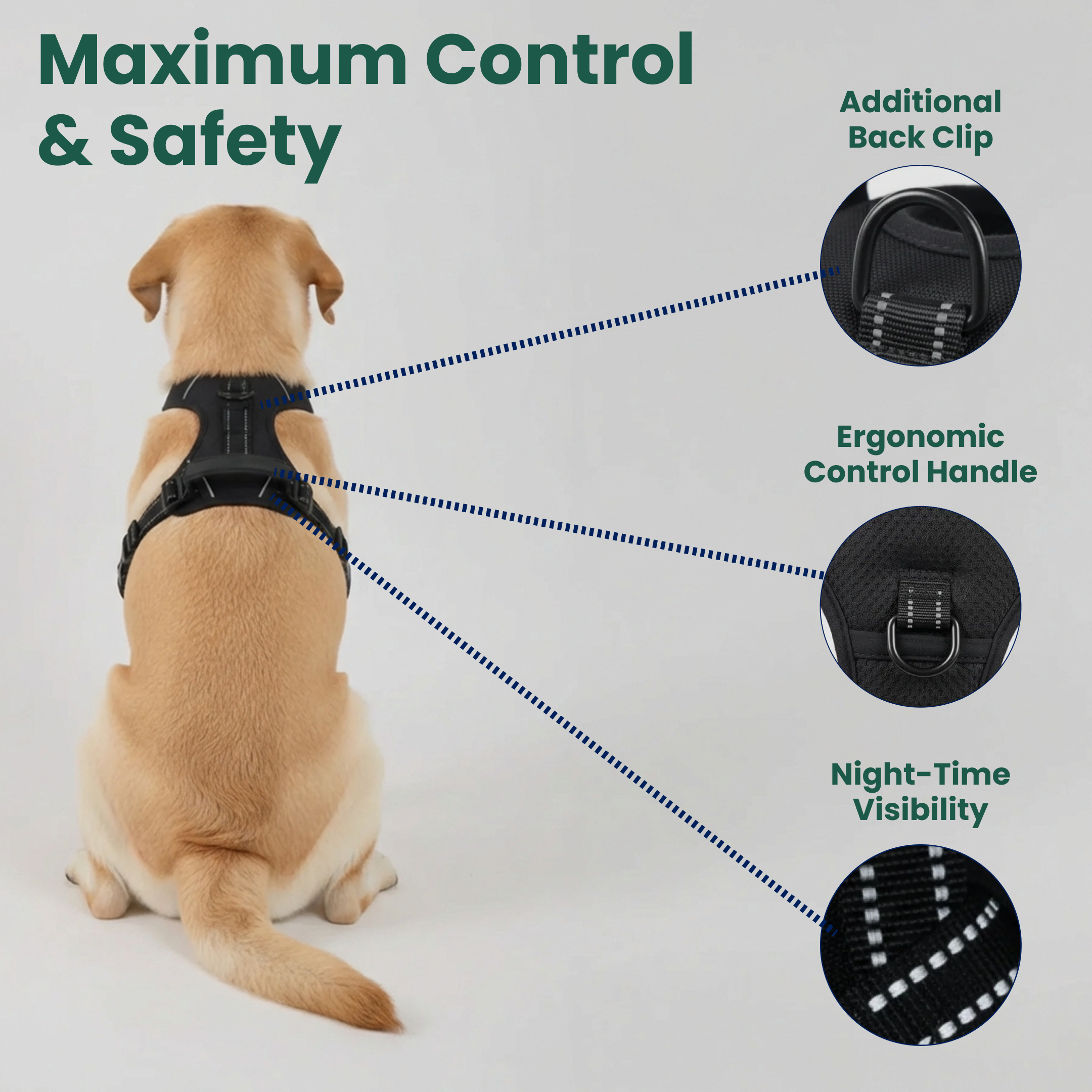 Comfort Fit | No-Pull Dog Harness with Adjustable Straps | Safe Control for Easy Walking 5