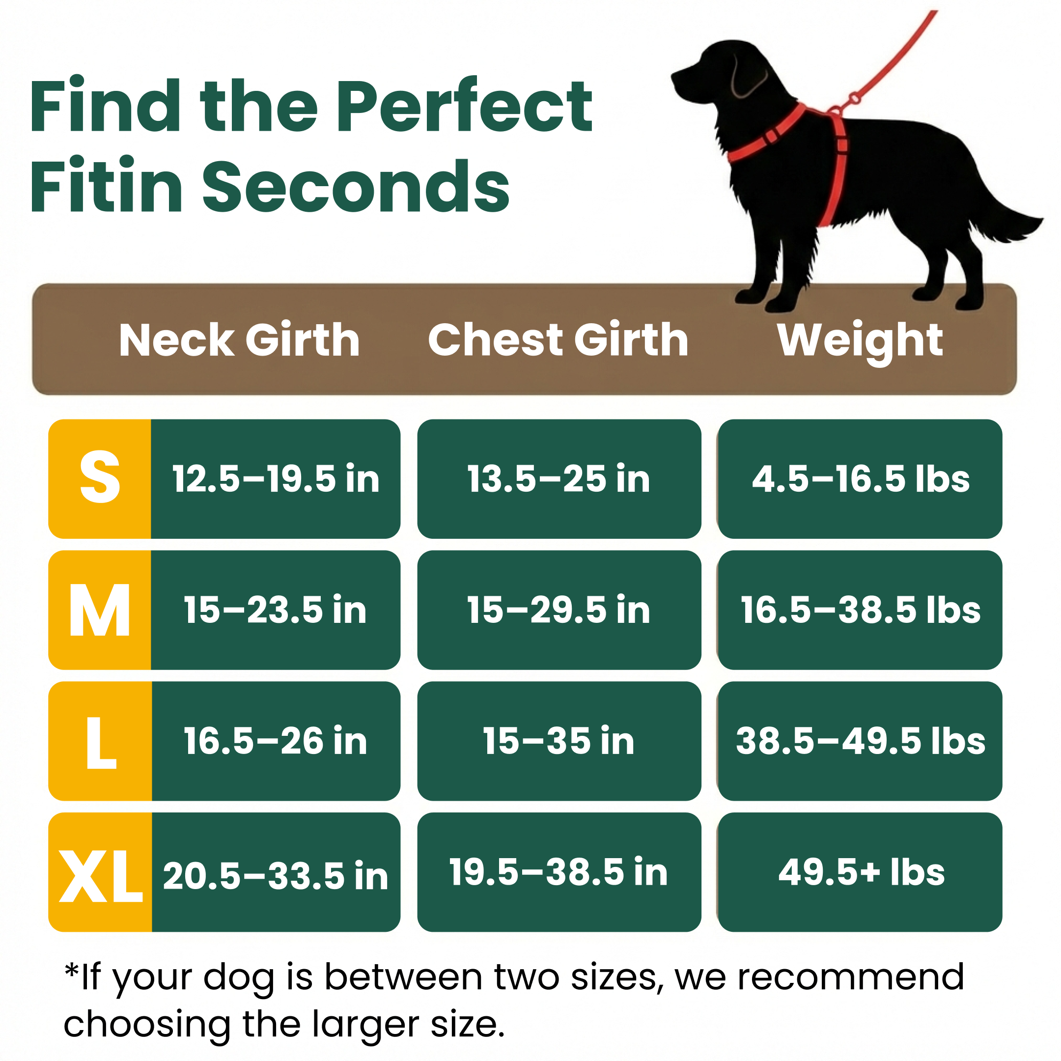 Comfort Fit | No-Pull Dog Harness with Adjustable Straps | Safe Control for Easy Walking 8