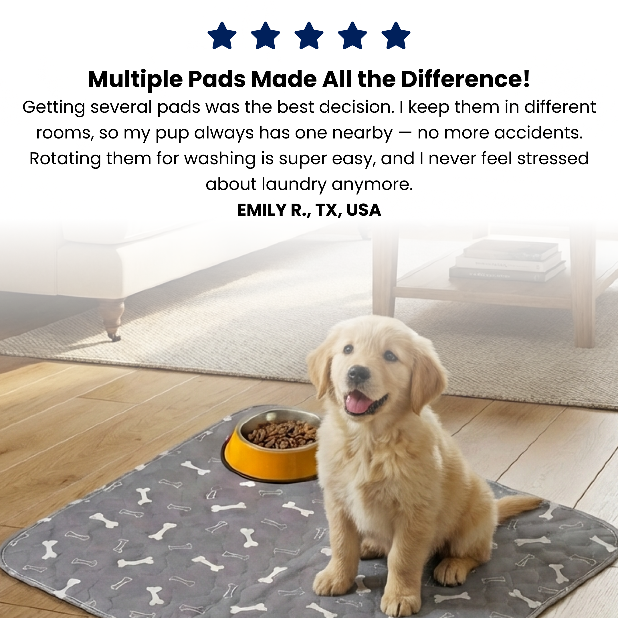 Ultimate Pet Solutions | Durable Pee Pad with Leak-Proof Design | Convenient Training Aid for Dogs 3