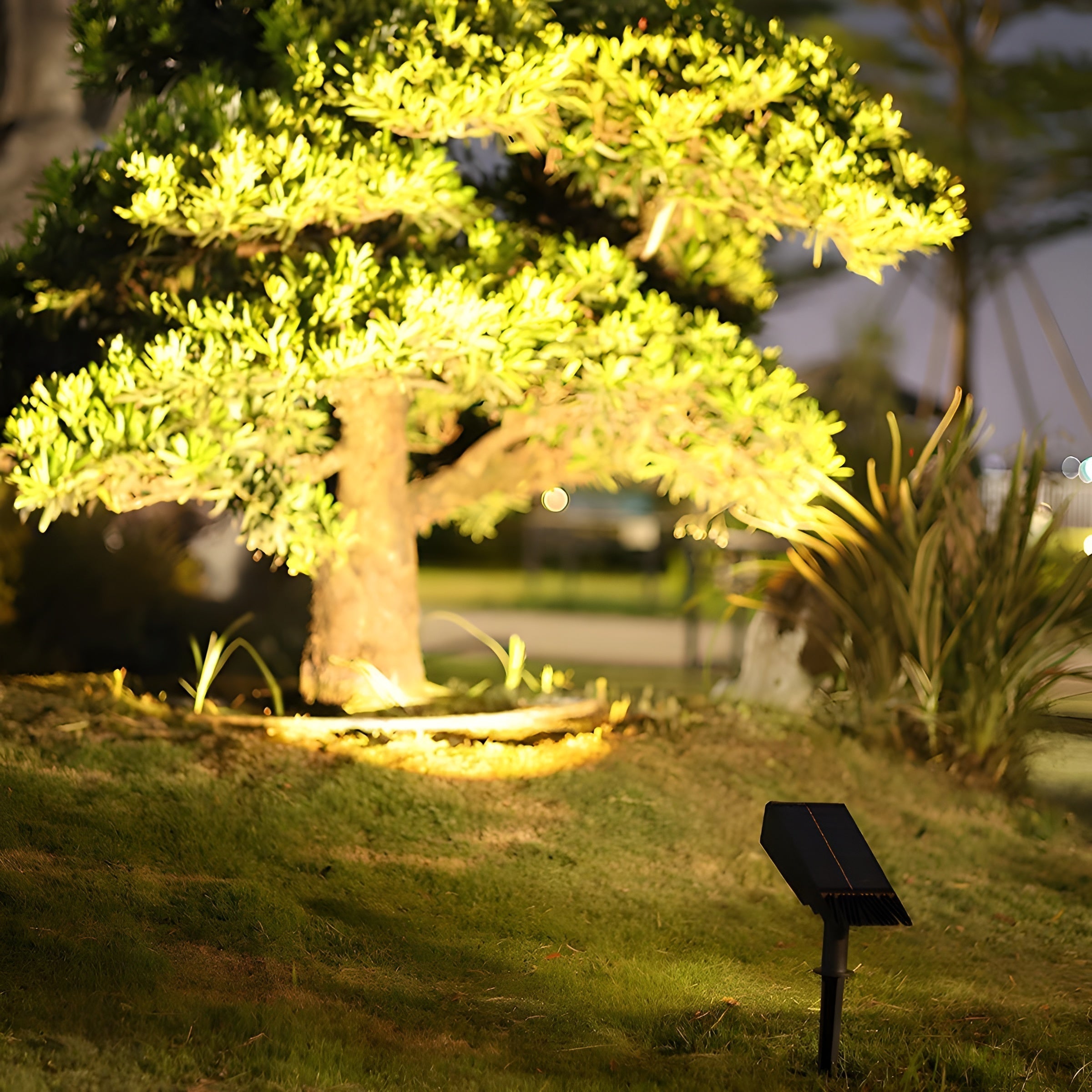 Garden Light | Solar Outdoor Spot Light with Adjustable Head | Automatic Activation for Enhanced Illumination 4