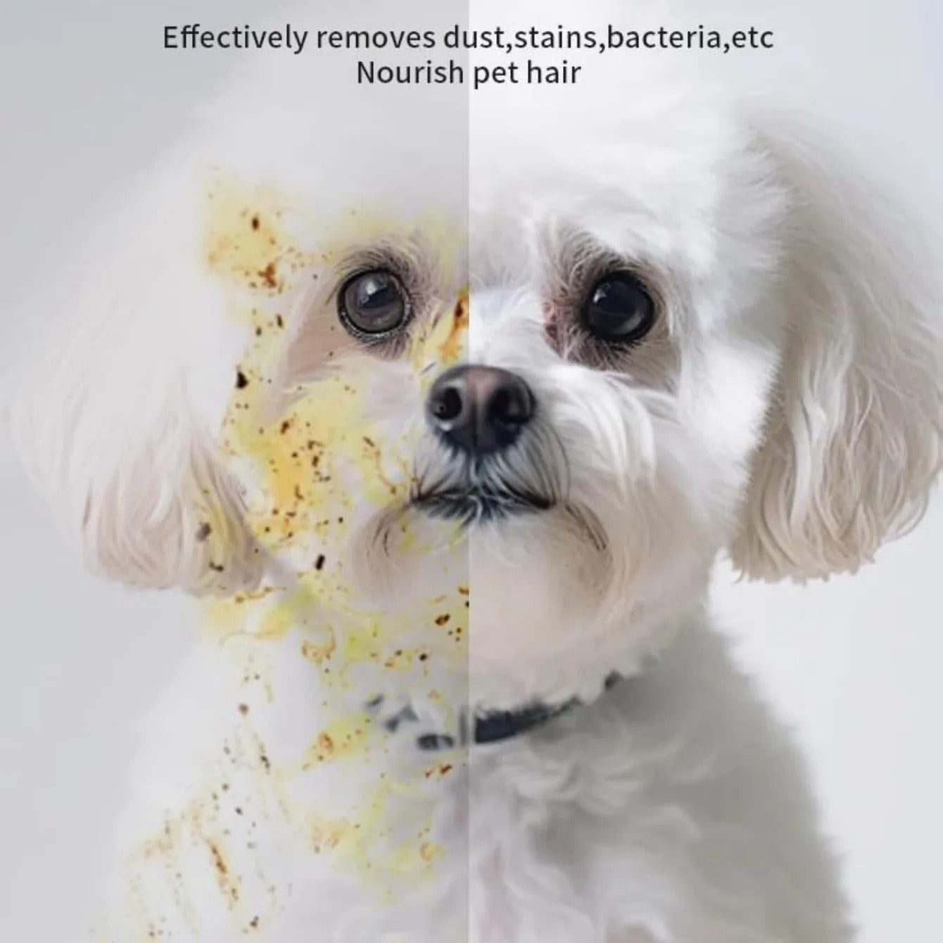 Pet Cleaning Wipes | Glove-Fit Design with Aloe & Jojoba Oil | Gentle Clean for Happy Pets 3