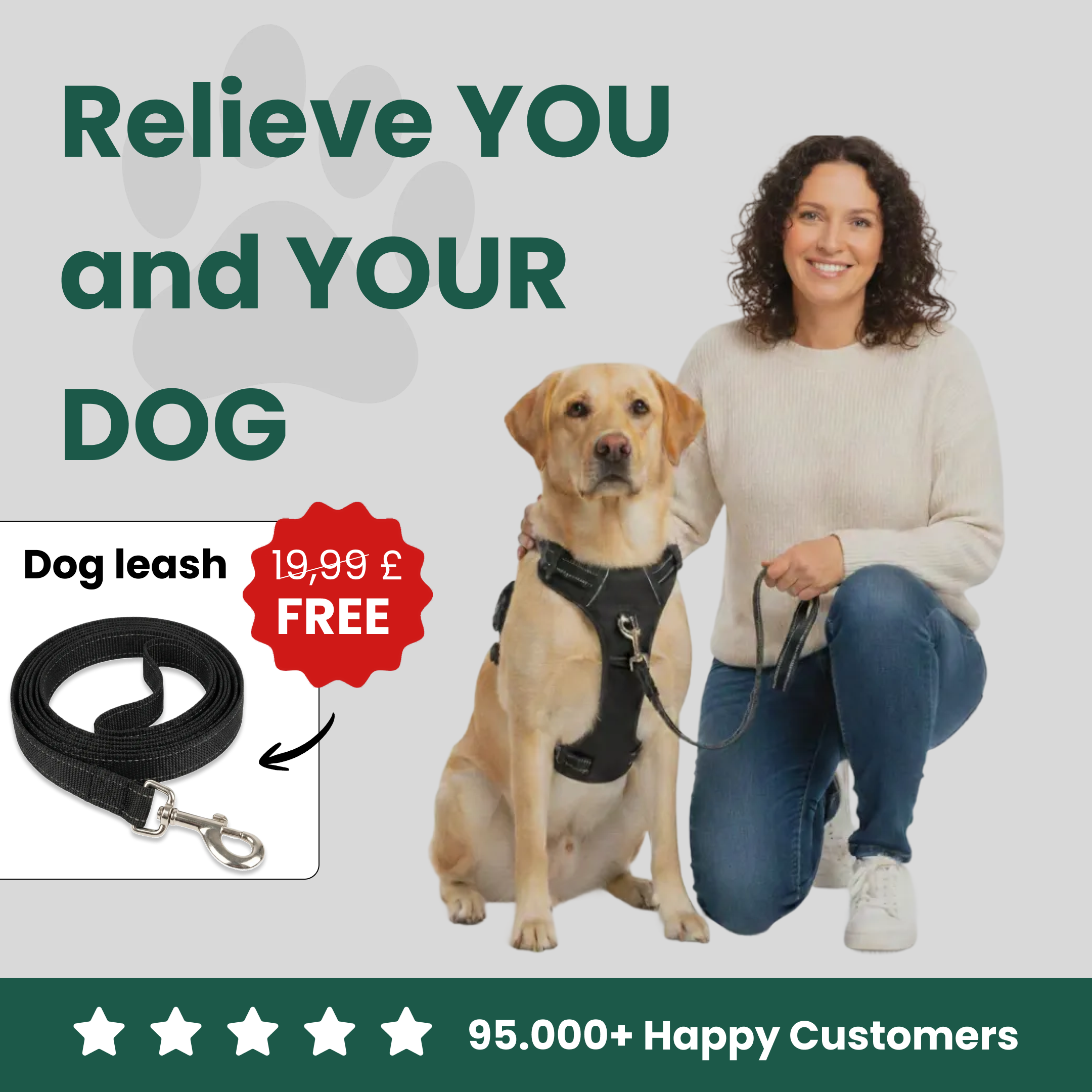 Comfort Fit | No-Pull Dog Harness with Adjustable Straps | Safe Control for Easy Walking 1