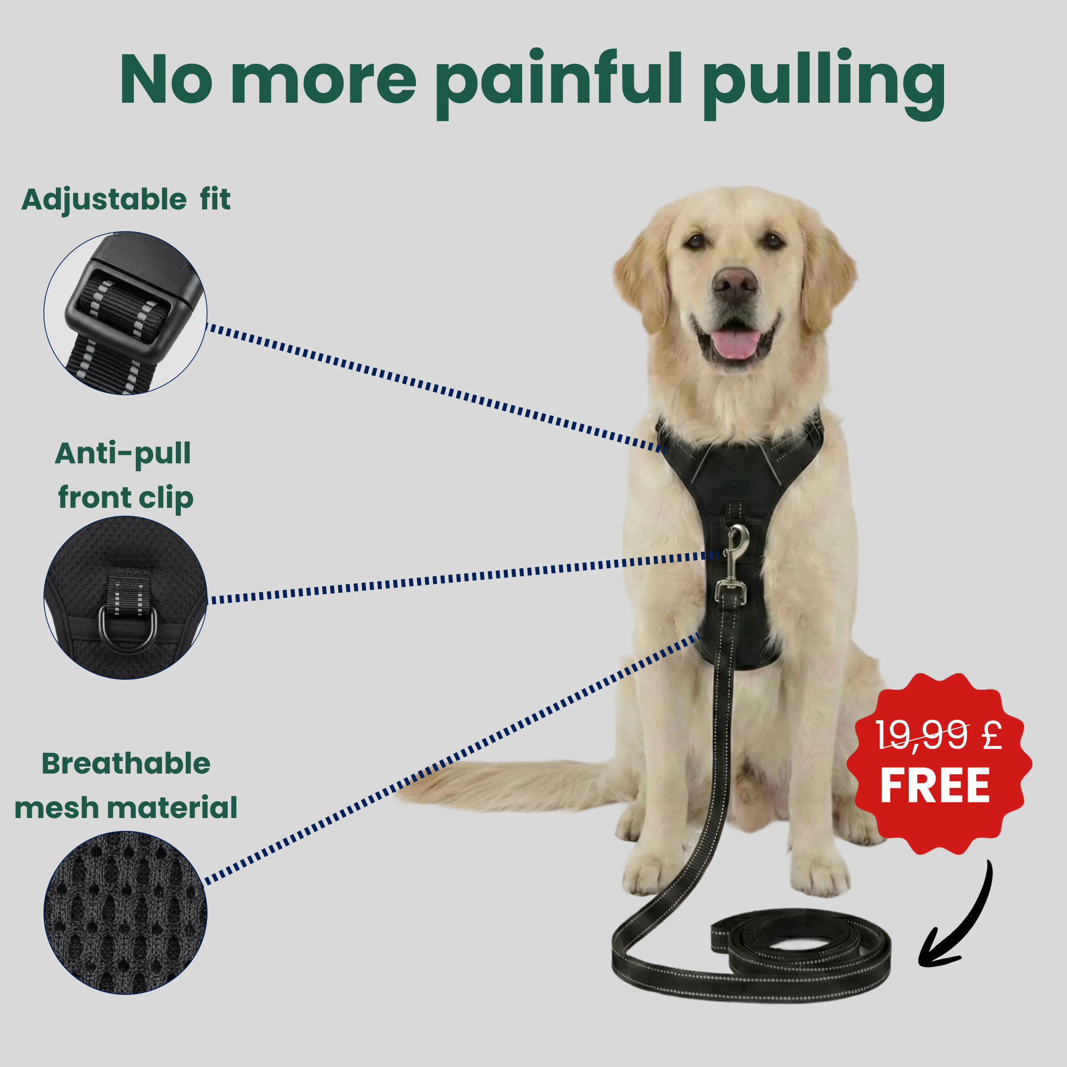 Comfort Fit | No-Pull Dog Harness with Adjustable Straps | Safe Control for Easy Walking 4